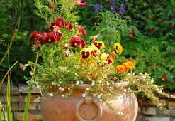 blog 5