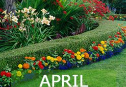 april