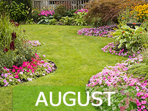 August