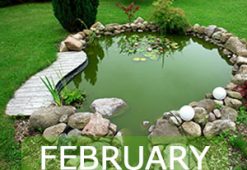 february