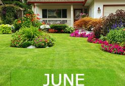 june1