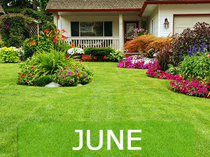 June