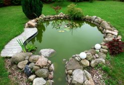landscape maintenance 021