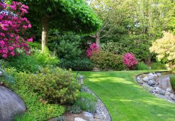 landscape maintenance 031