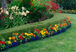 landscape maintenance 041