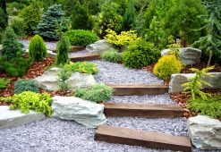landscape maintenance 051