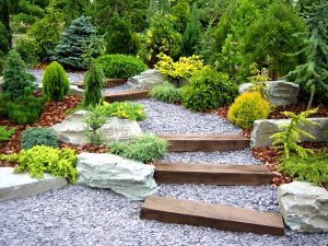 Landscape Services