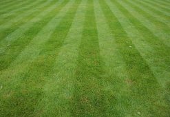 landscape maintenance 071