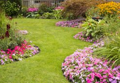 landscape maintenance 081