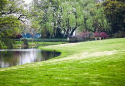 landscape maintenance 091
