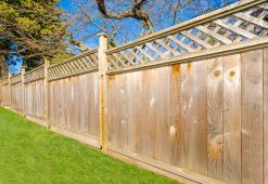 landscape maintenance 12