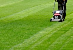 landscape maintenance 131