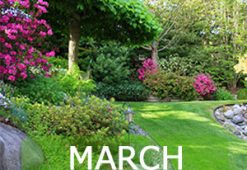 March