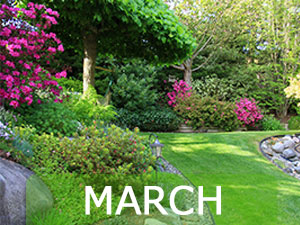 March