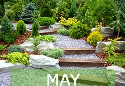 may