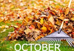 october